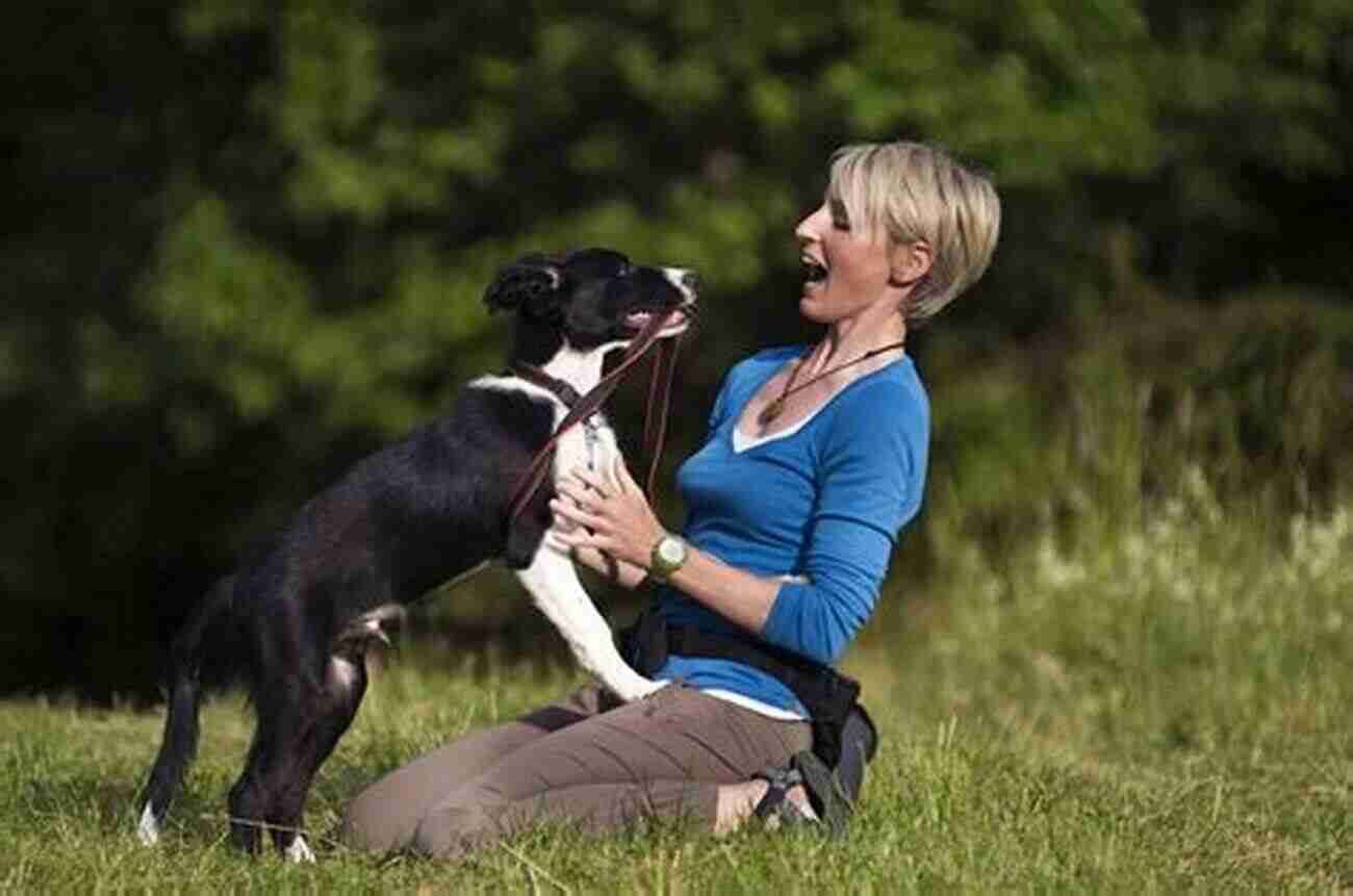 A Border Collie With Its Owner At The Vet Border Collie (Collins Dog Owner S Guide)