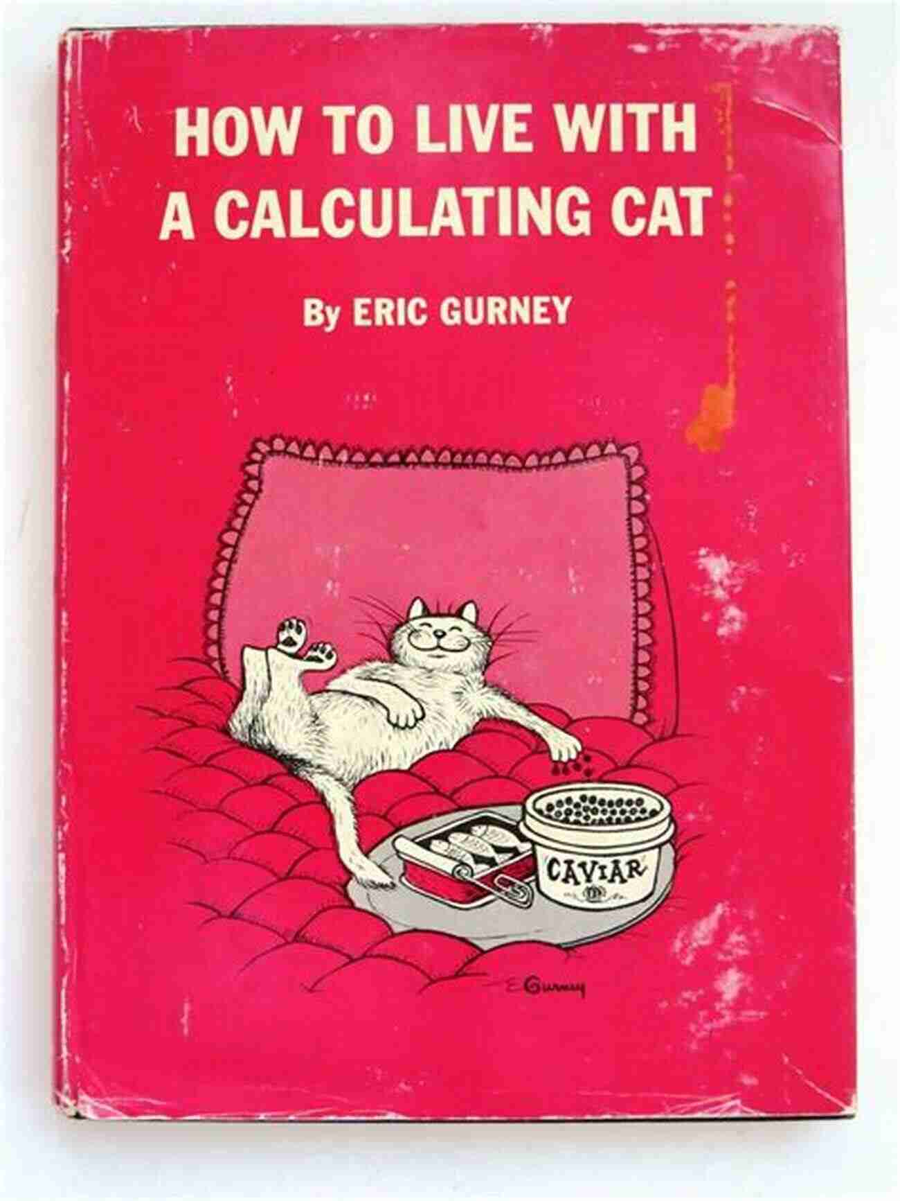 A Calculating Cat Enjoying A Gentle Stroke How To Live With A Calculating Cat