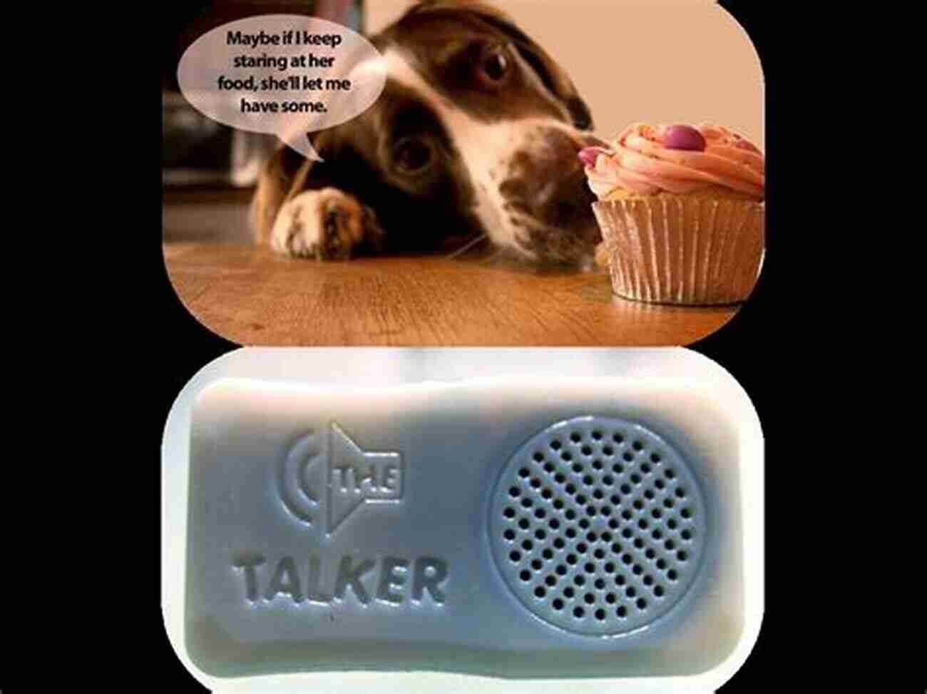 A Happy Dog Using The Pet Talker Device Pet Talker: Listening To Those Who Speak Silently