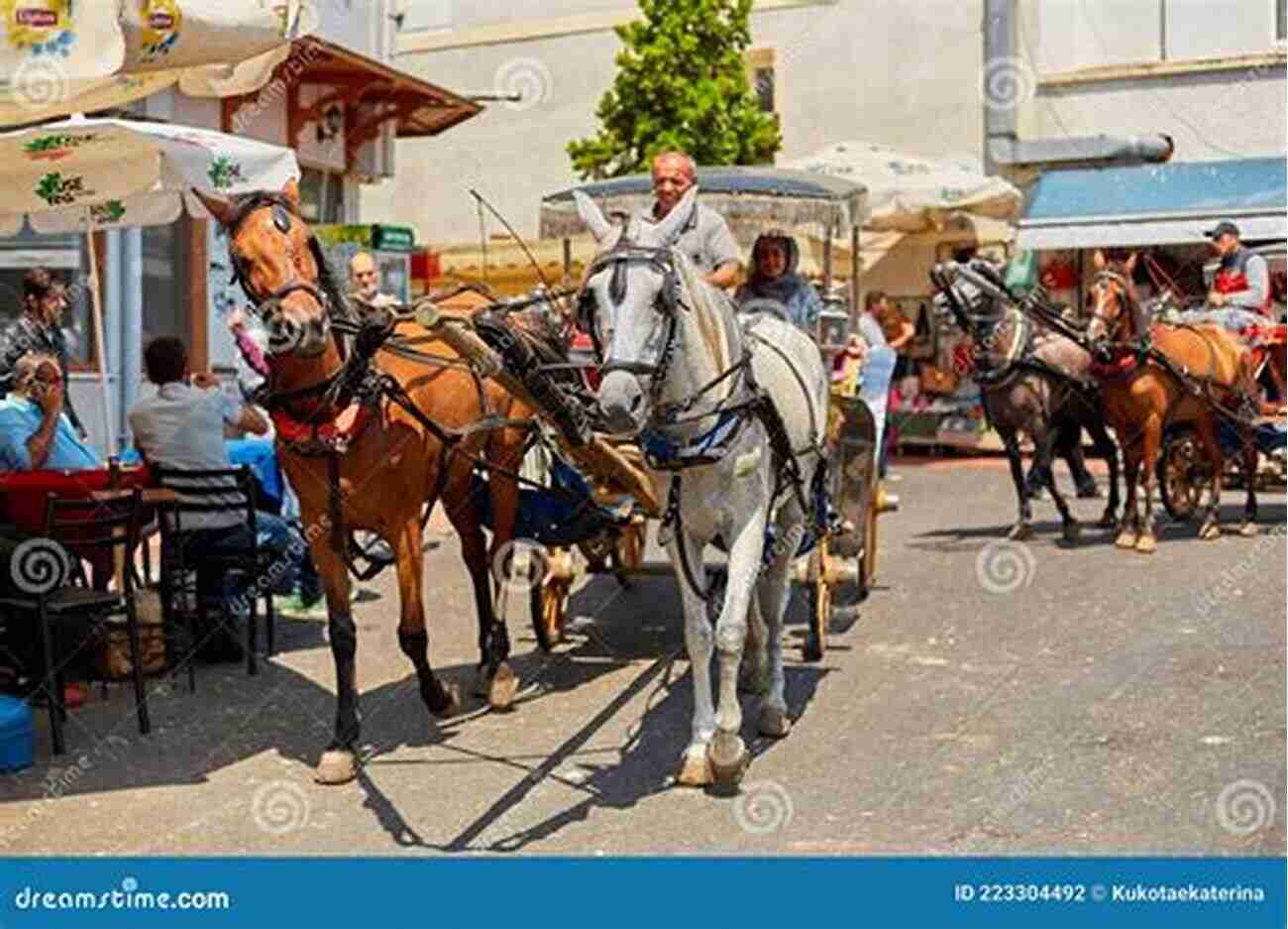 A Horse Drawn Carriage On The Streets Of Buyukada Istanbul Its Surroundings Kyung Suk Oh