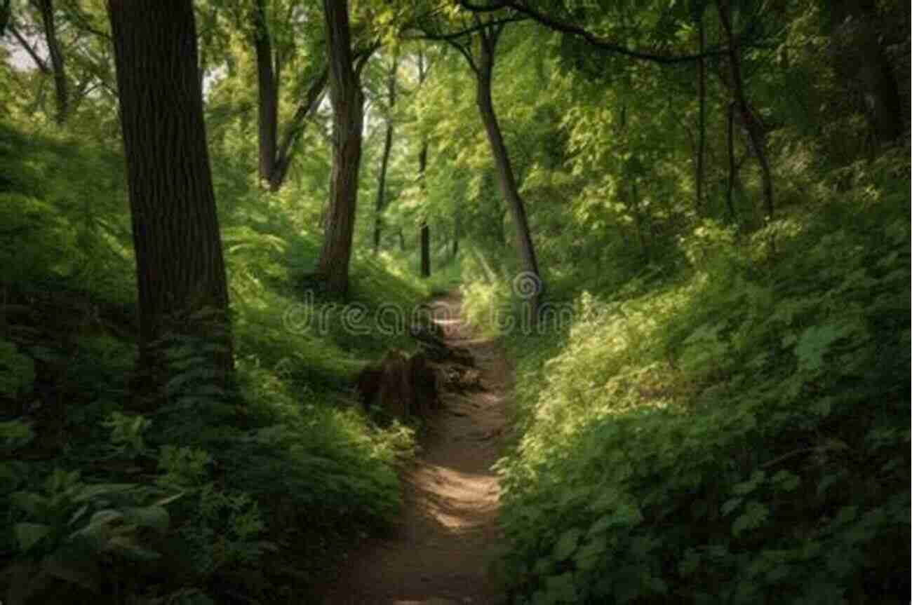 A Scenic Rail Trail Surrounded By Lush Greenery And Towering Trees Best Rail Trails New England: More Than 40 Rail Trails From Maine To Connecticut (Best Rail Trails Series)