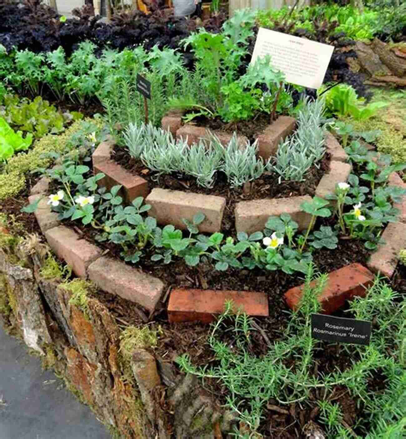 A Van With A Rooftop Garden Showcasing Various Plants And Herbs Vantastic: Van Living Sustainable Travel Food Ideas Conversions