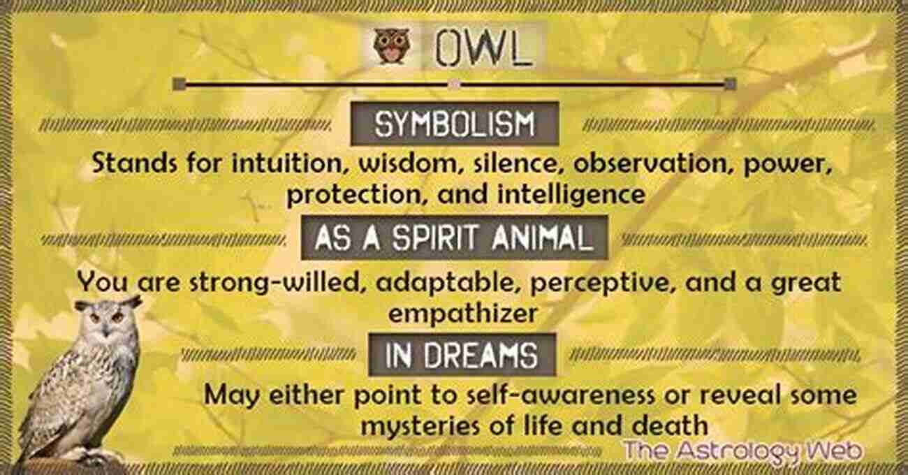 ABC Owl Symbolism A Representation Of Wisdom And Intuition ABC Owl: Who Are You