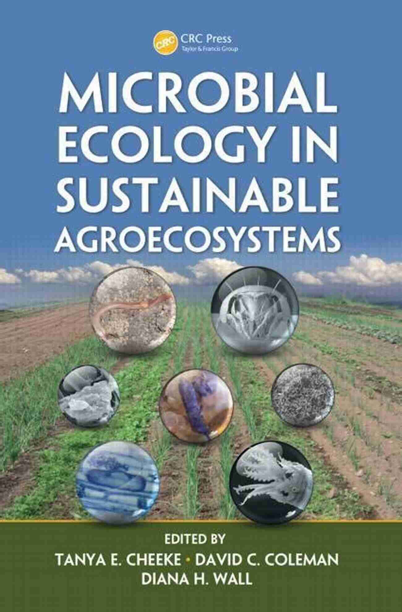 Advances In Agroecology The Conversion To Sustainable Agriculture: Principles Processes And Practices (Advances In Agroecology)