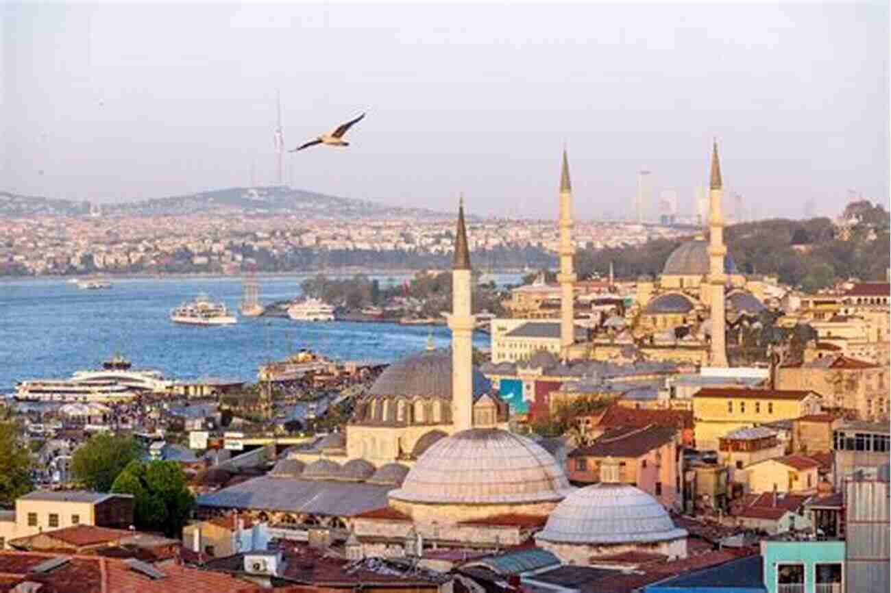 Aerial View Of Istanbul Cityscape Istanbul Its Surroundings Kyung Suk Oh