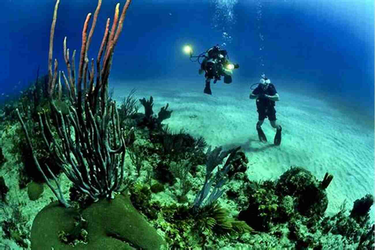 Andros Barrier Reef A Breathtaking Underwater Ecosystem With Vibrant Coral And Marine Life Definitely The Bahamas And Play House