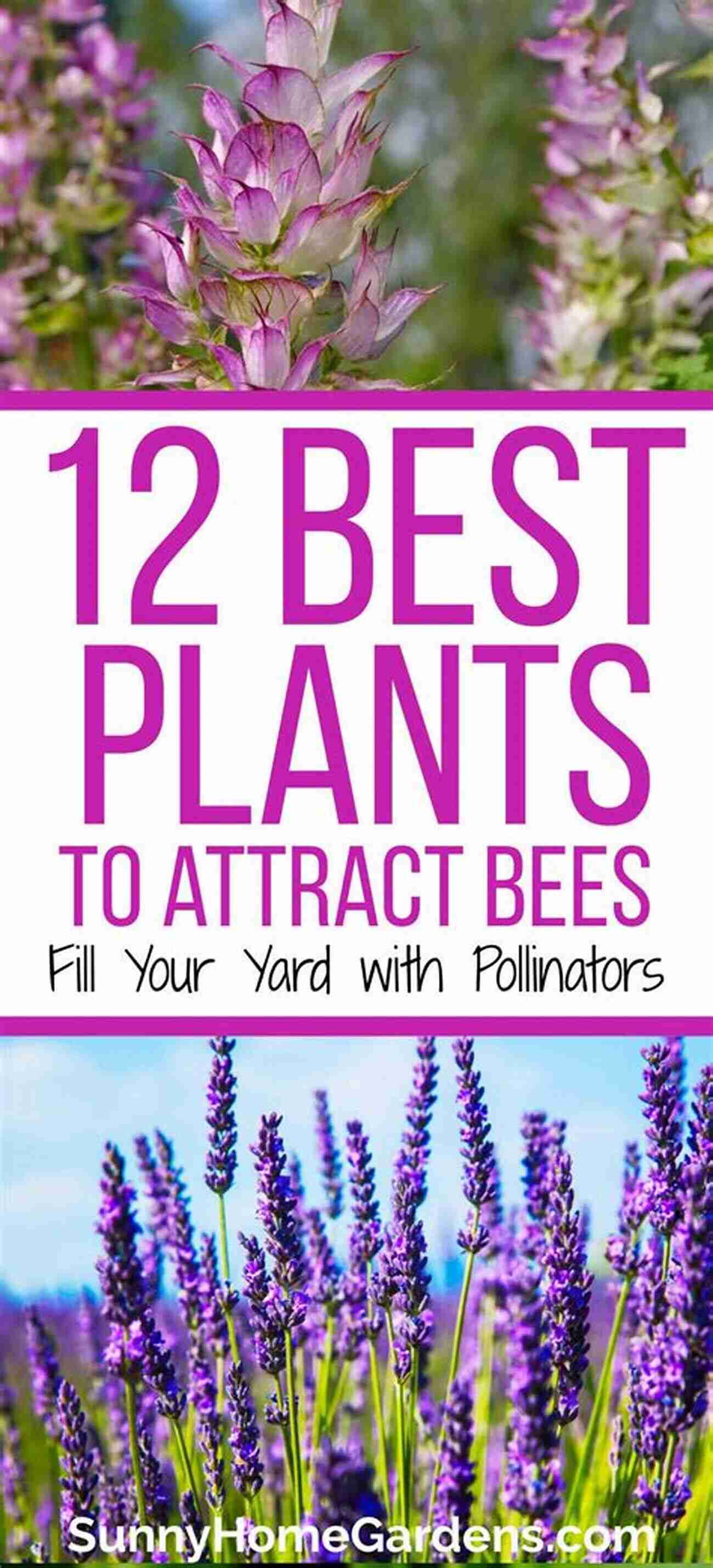 Beautiful Flower Filled Yard That Attracts Bees The Bee Friendly Garden: Design An Abundant Flower Filled Yard That Nurtures Bees And Supports Biodiversity