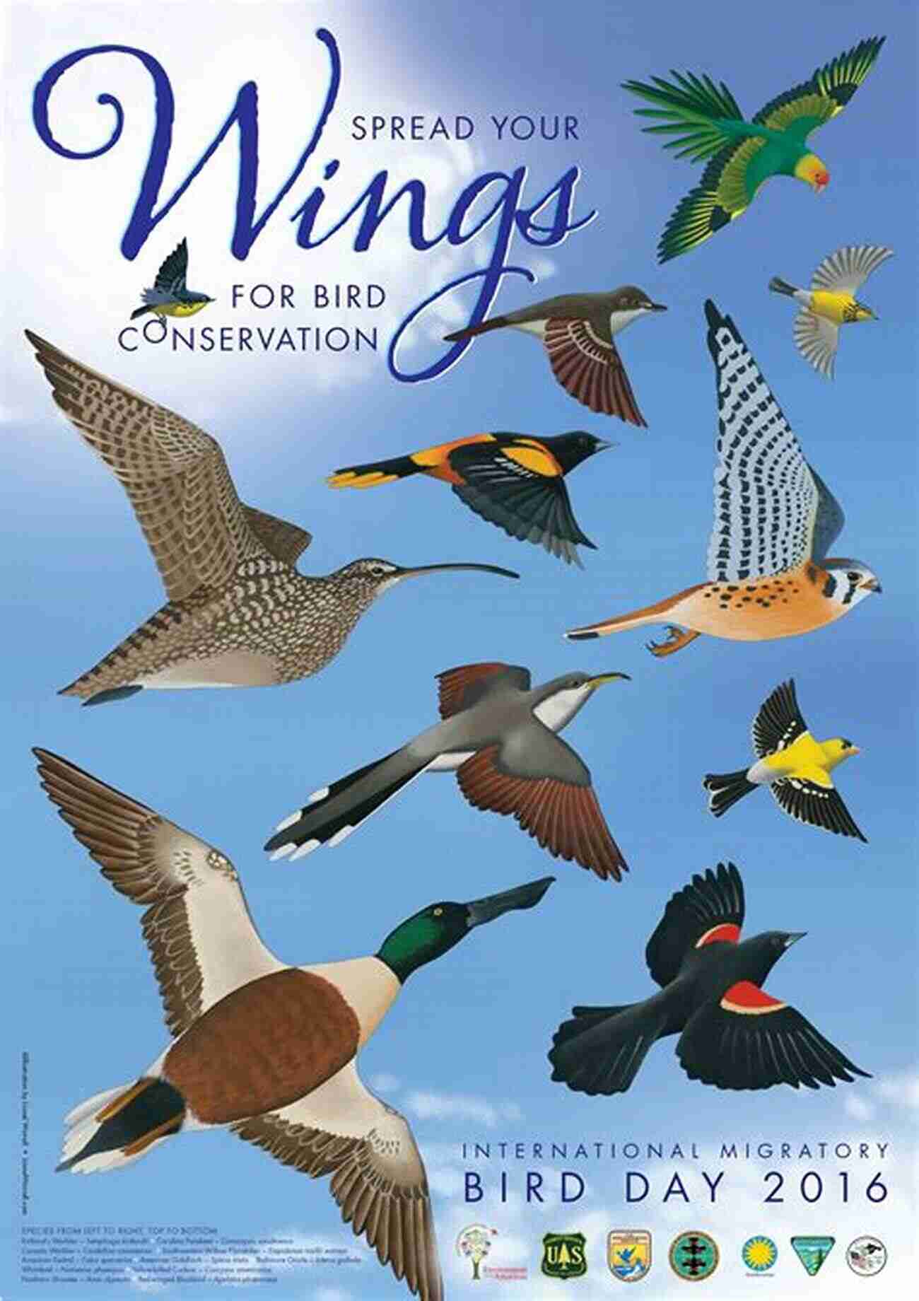 Bird Conservation Protecting The Diversity Of Our Skies Birds Of Louisiana And Mississippi: Birds Of Louisiana Mississippi That Might Pay You A Visit: Birds Of Louisiana Mississippi Field Guide