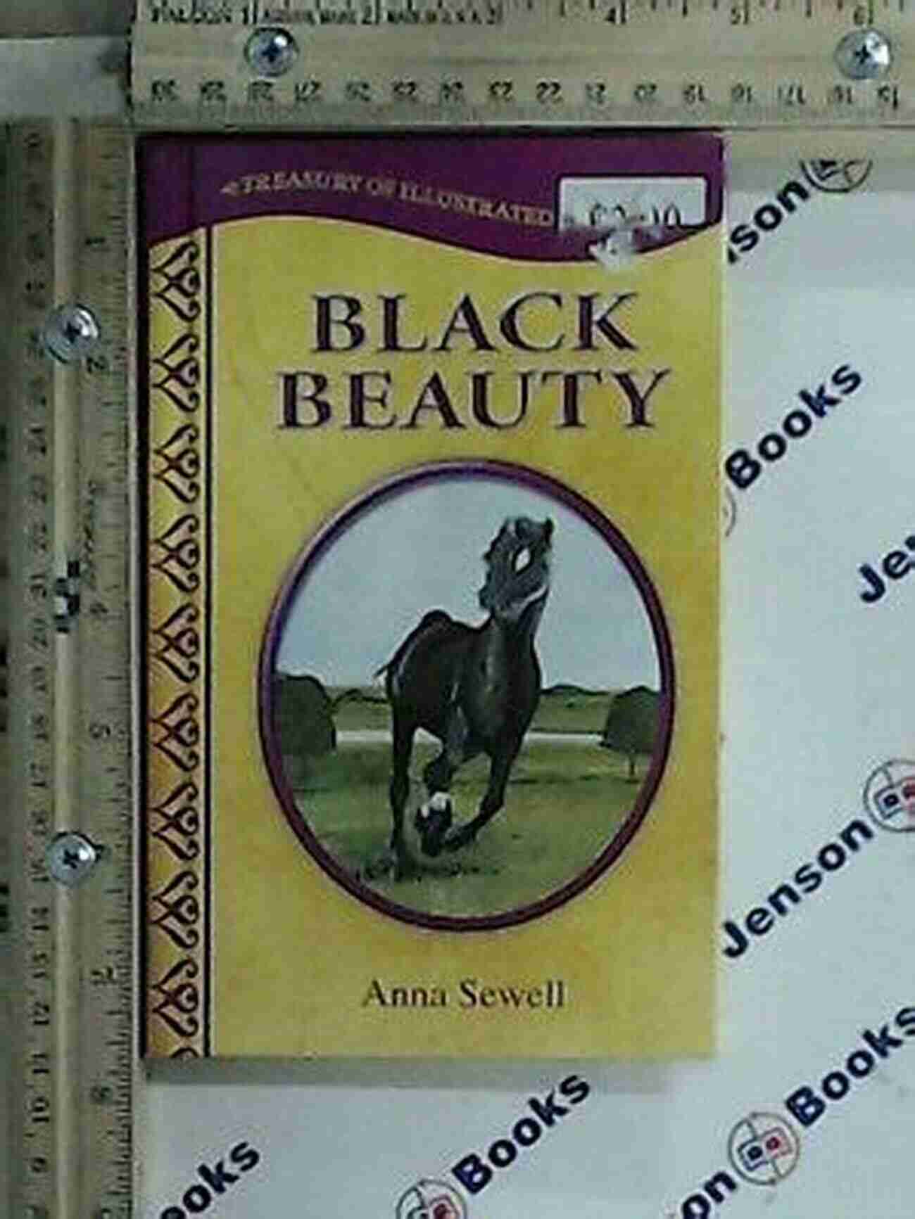 Black Beauty Treasury Of Illustrated Classics Storybook Collection