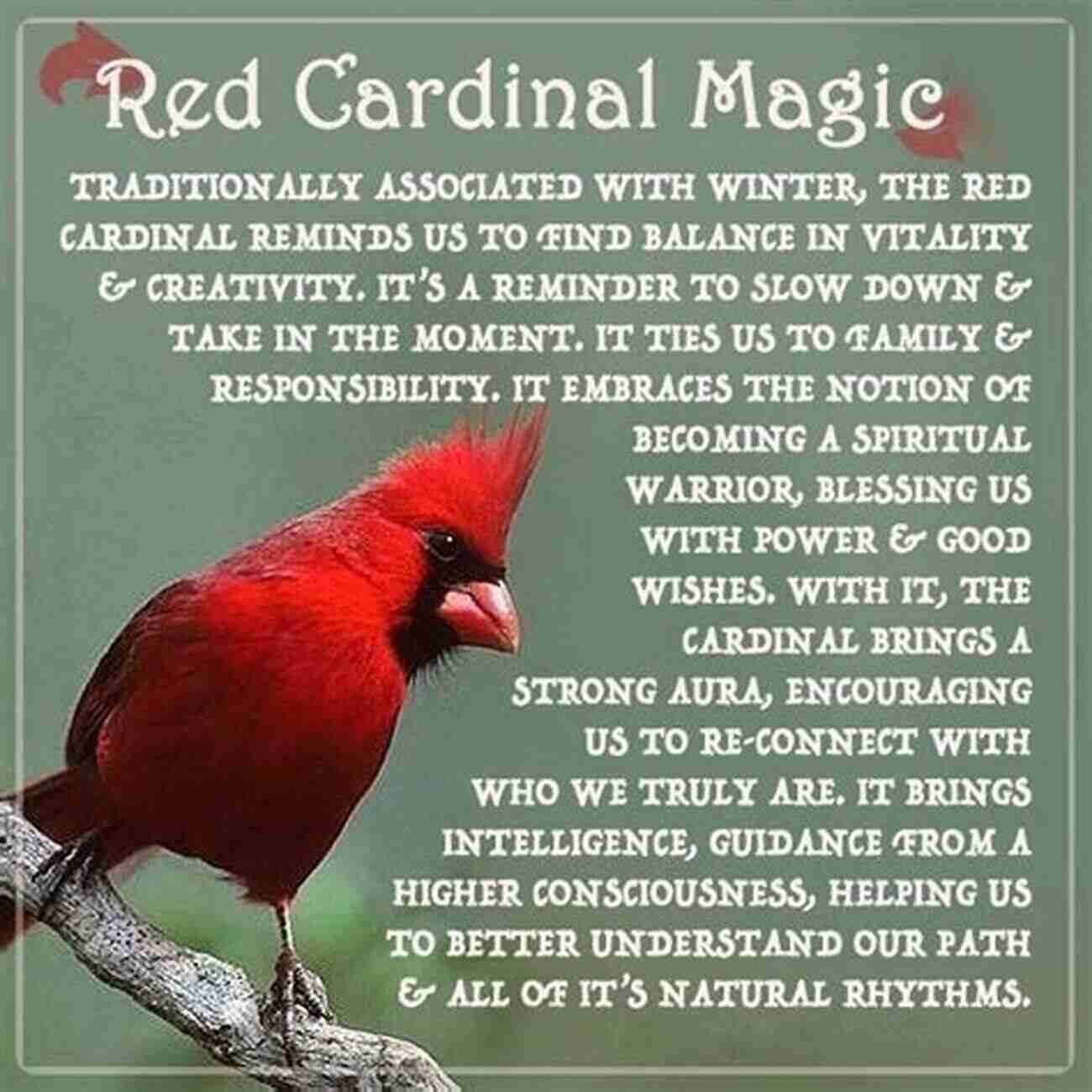 Cardinal Symbol Of Beauty And Song Birds Of Louisiana And Mississippi: Birds Of Louisiana Mississippi That Might Pay You A Visit: Birds Of Louisiana Mississippi Field Guide