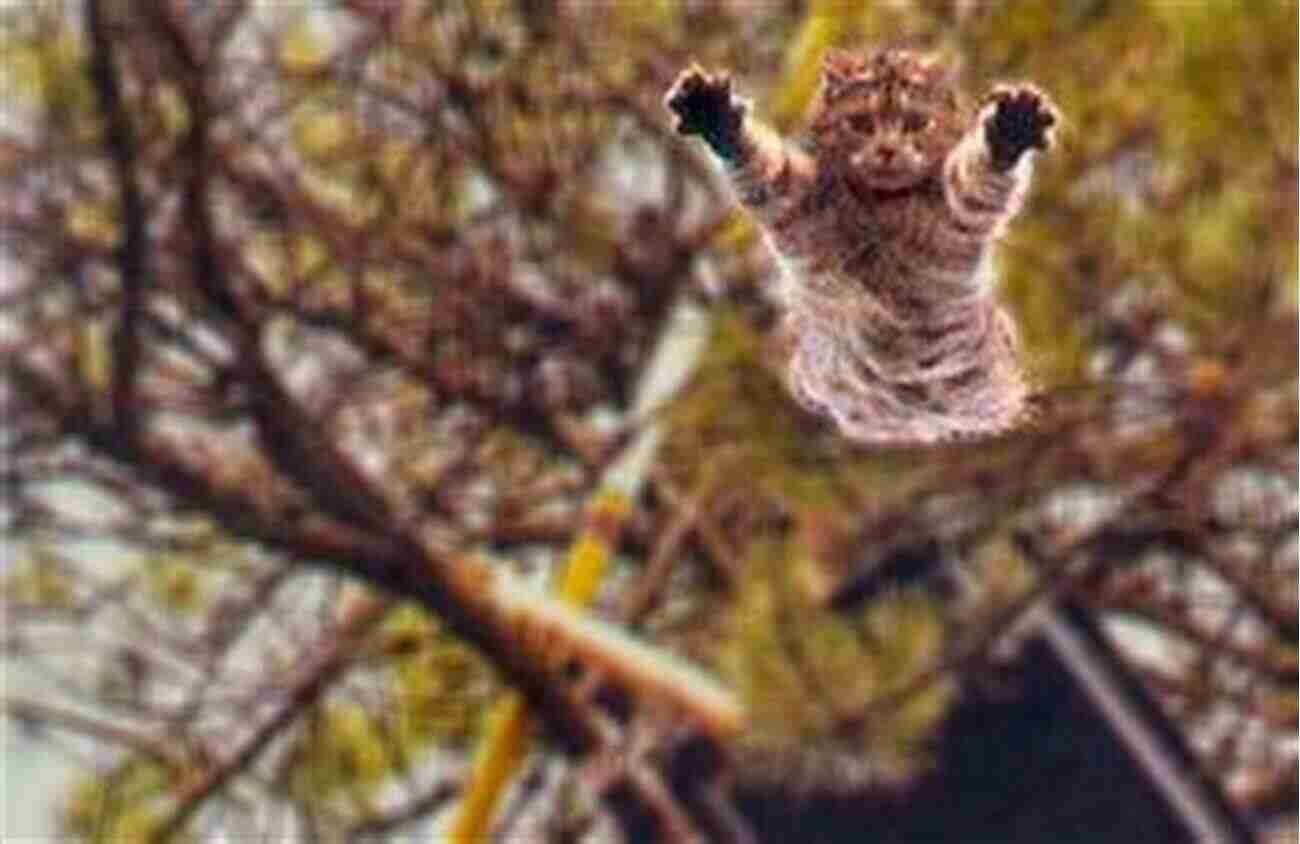 Cat Jumping From Tree Branch From A Cat S View Vol II: Stories Told By The Cats Who Lived Them