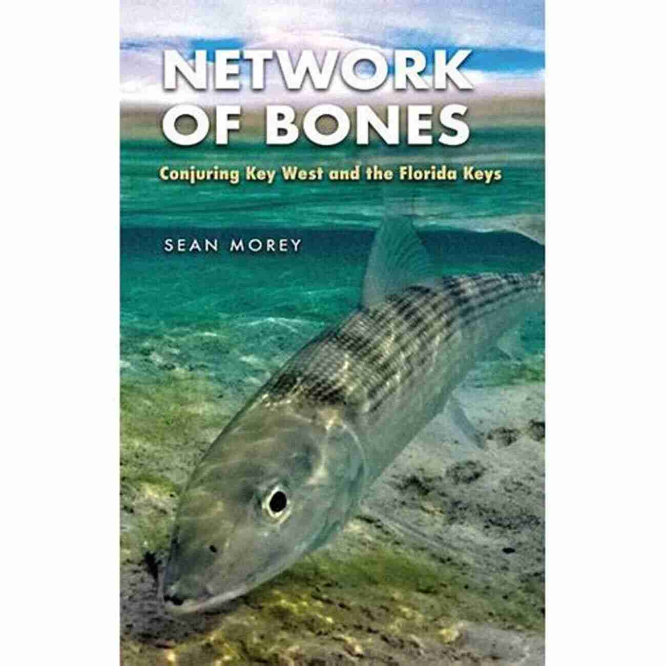 Conjuring Key West And The Florida Keys The Seventh Generation Network Of Bones: Conjuring Key West And The Florida Keys (The Seventh Generation: Survival Sustainability Sustenance In A New Nature)