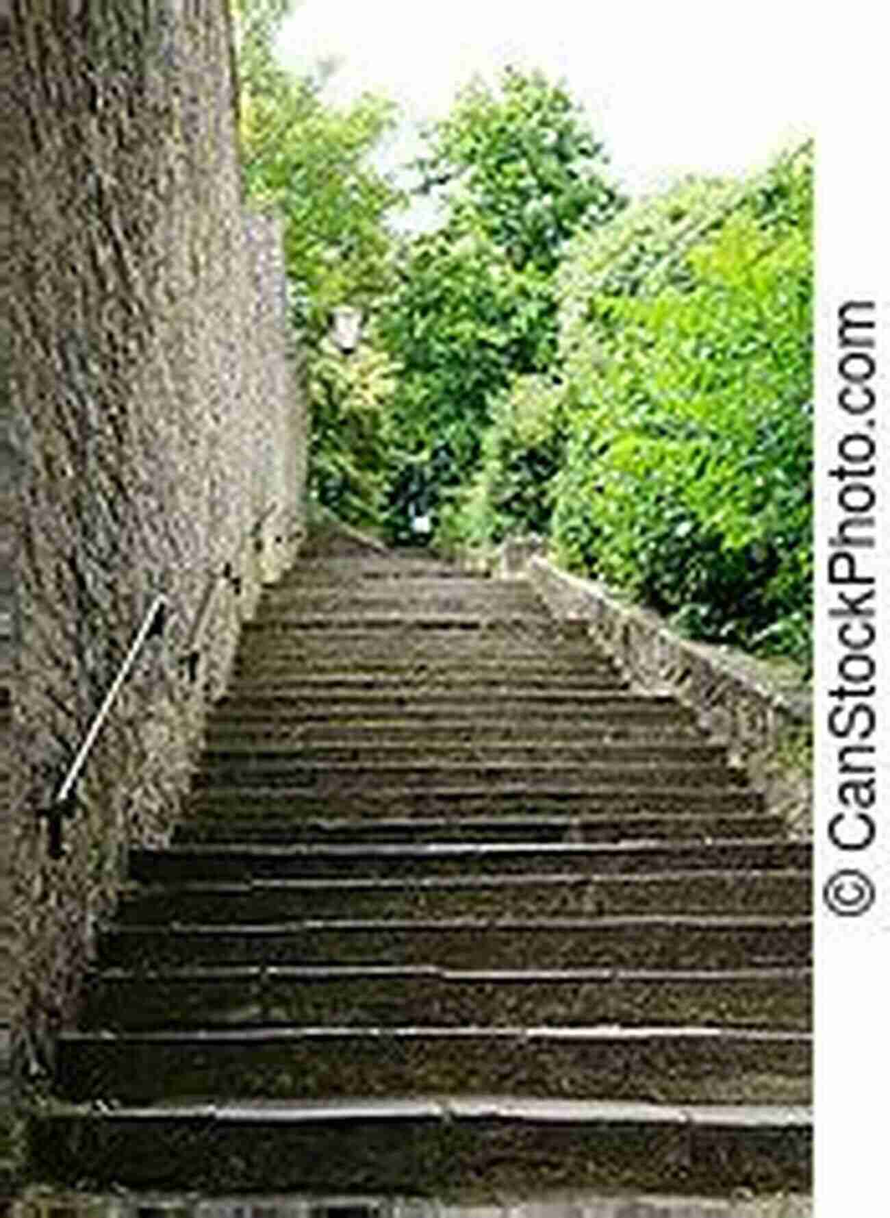 Curvy Stairways Leading Up Towards The Hilltop Parks Urban Trails: San Francisco: Coastal Bluffs/ The Presidio/ Hilltop Parks Stairways