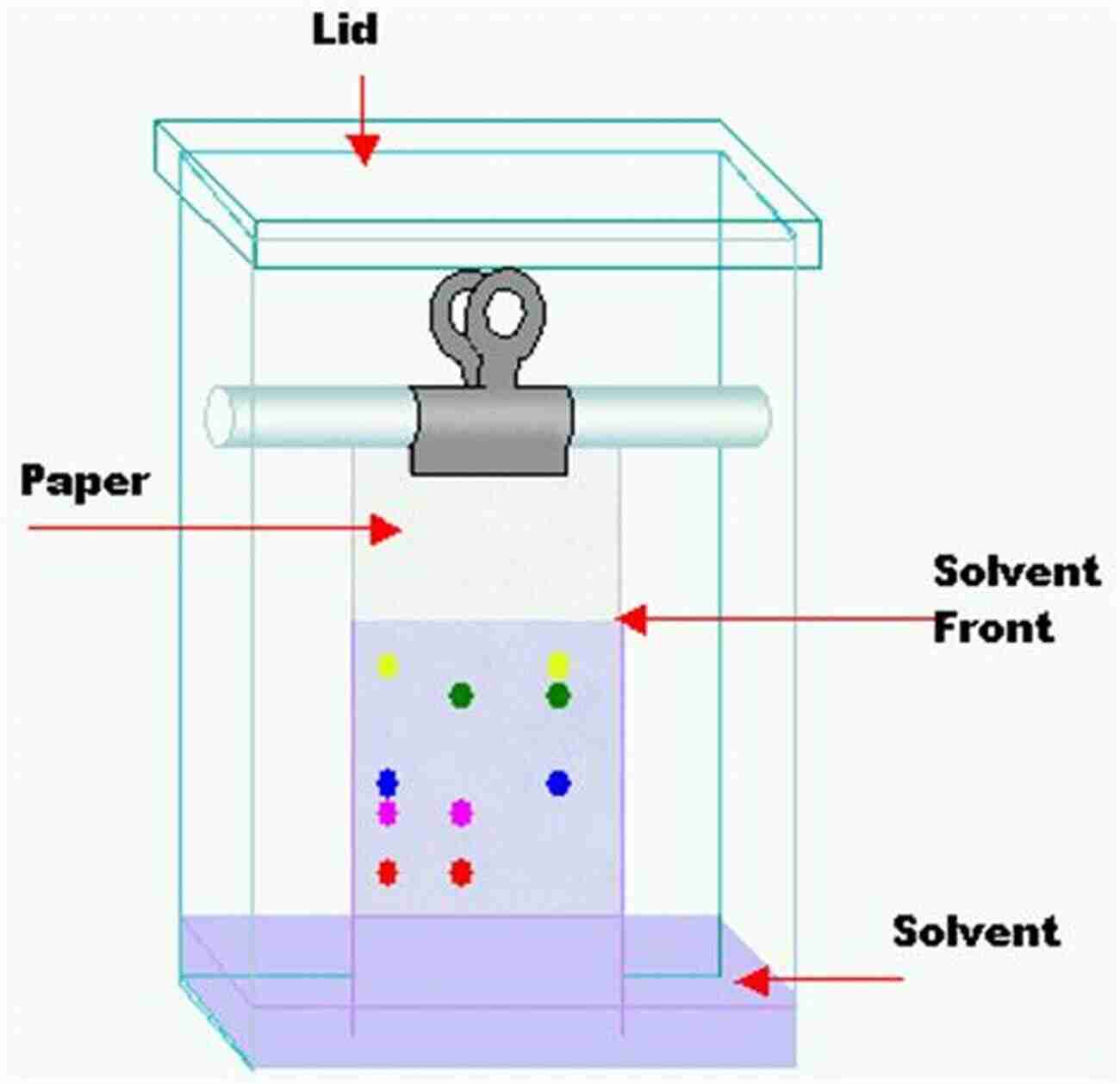 Cutting Edge Chromatographic Techniques To Revolutionize Research Nanomaterials In Chromatography: Current Trends In Chromatographic Research Technology And Techniques