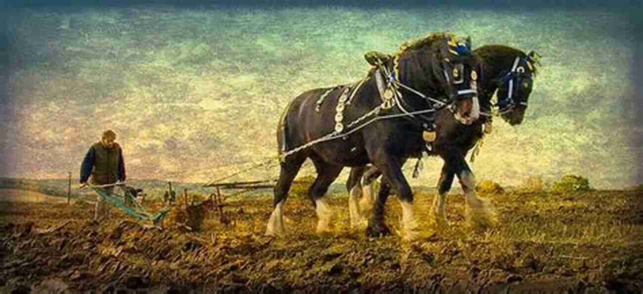 Dedicated Ploughman Working In The Fields The Of The Farm Detailing The Labours Of The Farmer Farm Steward Ploughman Shepherd Hedger Farm Labourer Field Worker And Cattle Man