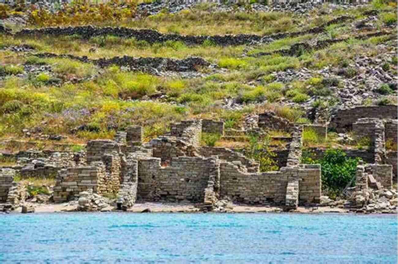 Discover The Mesmerizing Beauty Of Delos Rheneia In The Aegean Islands Delos Rheneia Blue Guide Chapter (from Blue Guide Greece The Aegean Islands)