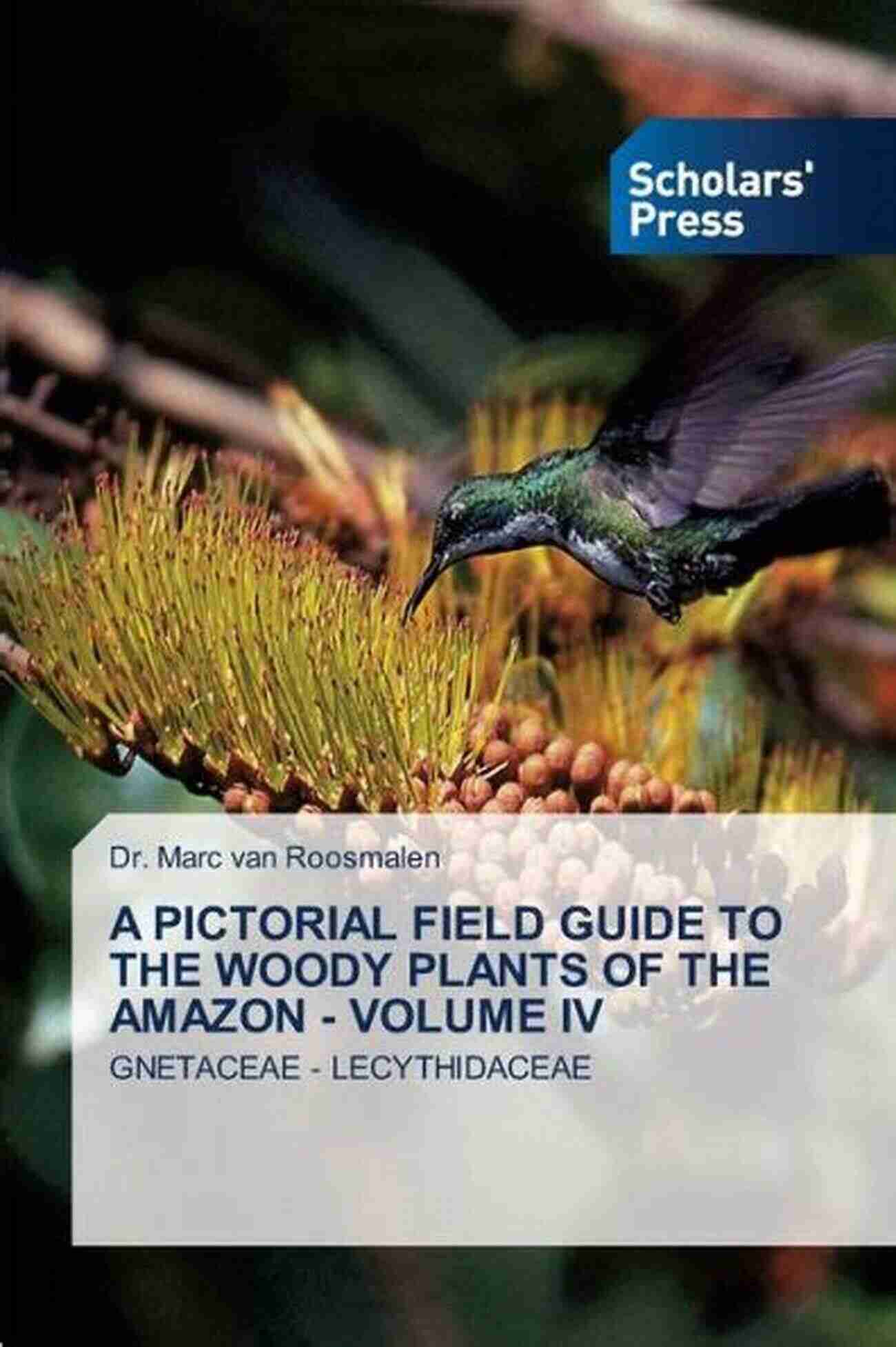 Discover The Stunning And Diverse Woody Plants Of The Amazon Rainforest Through This Pictorial Field Guide Vol IV A Pictorial Field Guide To The Woody Plants Of The Amazon VOL IV: GNETACEAE LECYTHIDACEAE