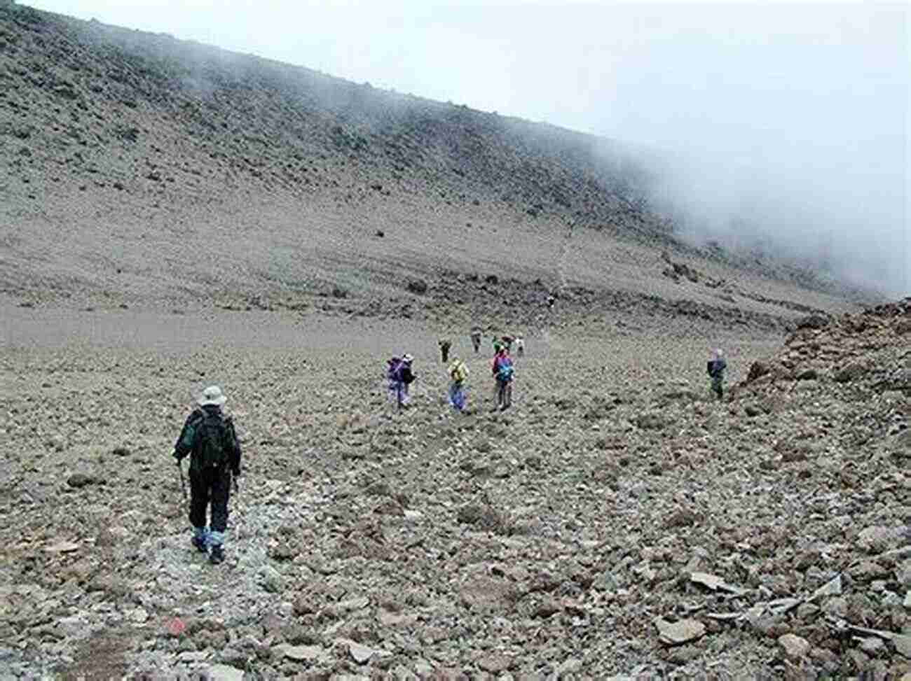 Discovering The Diverse Ecosystems On The Mweka Route Kilimanjaro Uncovered: An Alternative Path To Bliss