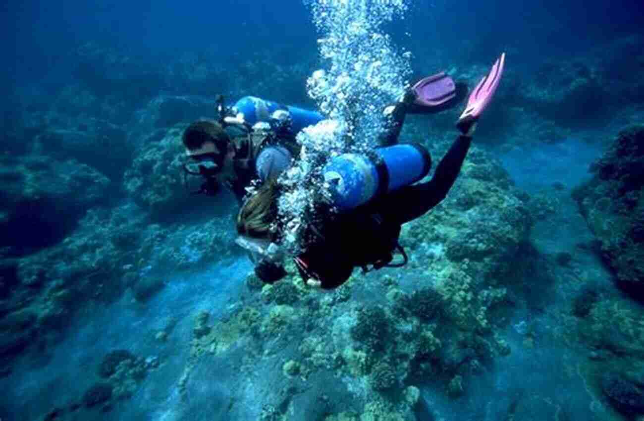 Dive Into The Underwater Wonders And Discover A Vibrant World Teeming With Colorful Marine Life Thirty Great North Carolina Science Adventures: From Underground Wonderlands To Islands In The Sky And Everything In Between (Southern Gateways Guides)