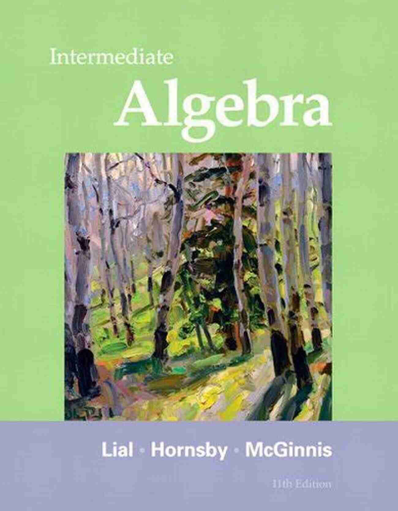 Download Free Intermediate Algebra PDF EBook By Ever Barbero Intermediate Algebra (2 Downloads) Ever J Barbero