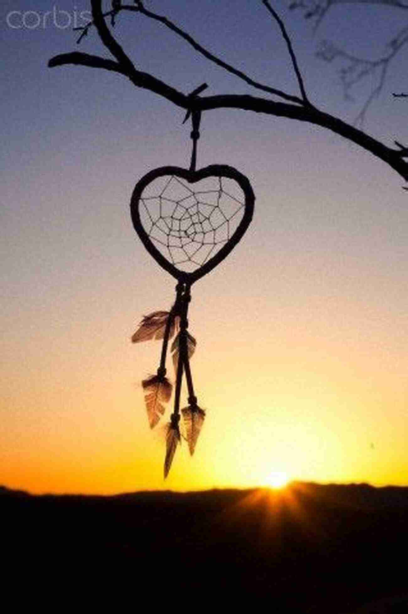 Dream Catcher Hanging From A Tree Branch With Sunlight Shining Through Confessions Of A Heretic Revised Edition