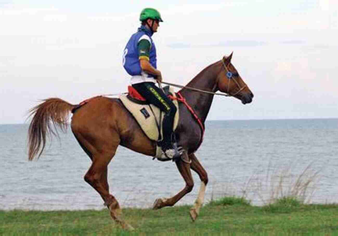 Endurance Horse Powering Through A Race In The Forest 4th Gear Power Up Your Endurance Horse