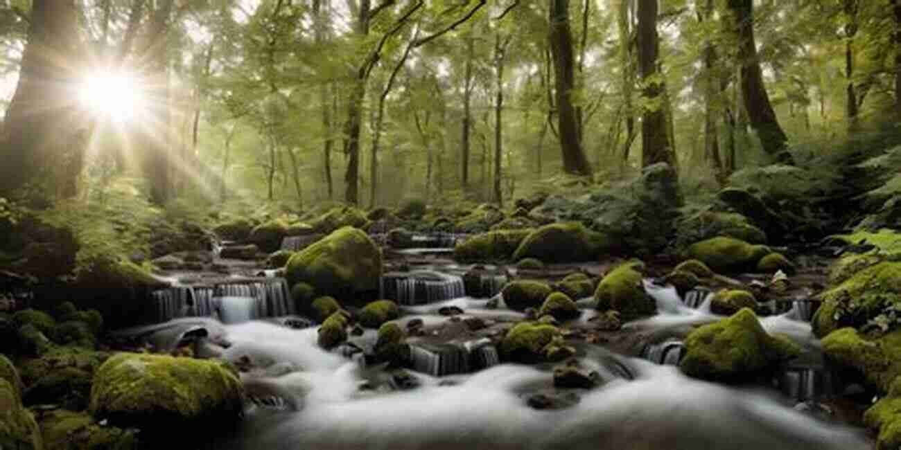 Enter The Enchanting Forests And Witness The Beauty Of Towering Trees And Colorful Wildlife Thirty Great North Carolina Science Adventures: From Underground Wonderlands To Islands In The Sky And Everything In Between (Southern Gateways Guides)