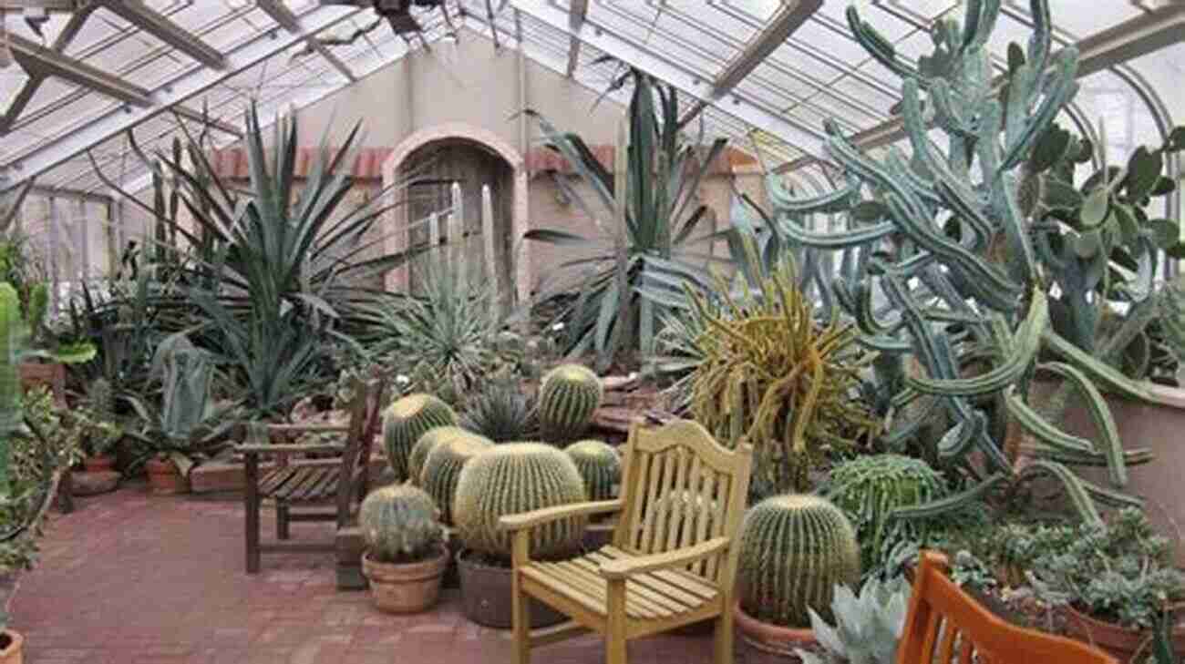 Exotic And Otherworldly Plants Inside The Conservatory Home On The Strange: Chronicles Of Motherhood Mayhem And Matters Of The Heart