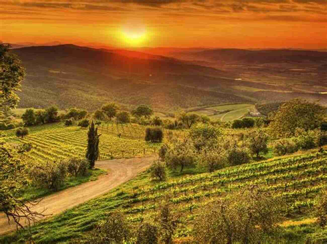 Experience The Breathtaking Beauty Of The Italian Countryside Lonely Planet Experience Italy (Travel Guide)