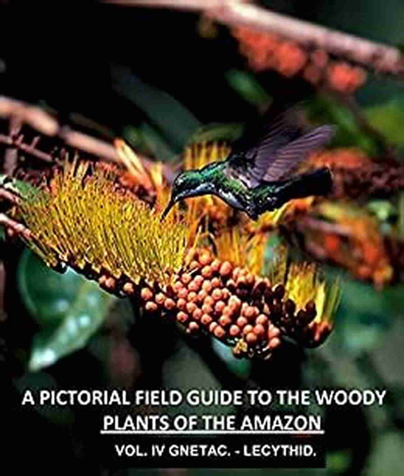 Explore The Untamed Beauty Of The Amazon Rainforest: A Pictorial Field Guide To The Woody Plants Of The Amazon Vol IV A Pictorial Field Guide To The Woody Plants Of The Amazon VOL IV: GNETACEAE LECYTHIDACEAE