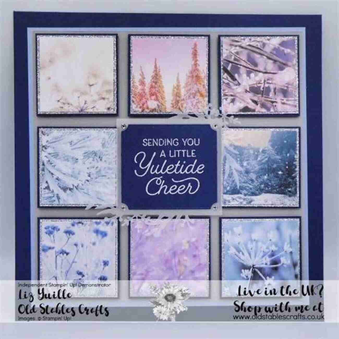 Festive Feels Sampler Perfect For Celebrating Special Occasions Cross Stitch Patterns For Beginners Vol 1 : Simple 24 Designs For Amateurs/Beautiful Awsome Samplers/Perfect Gift For Teens Adults And Seniors