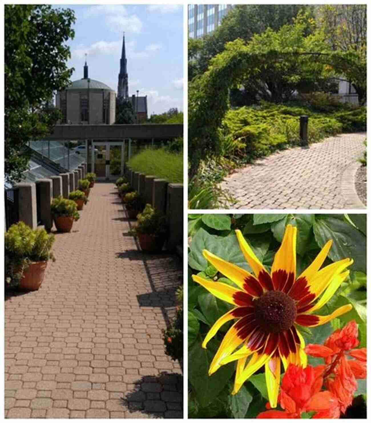 Foellinger Freimann Botanical Conservatory 100 Things To Do In Fort Wayne Before You Die