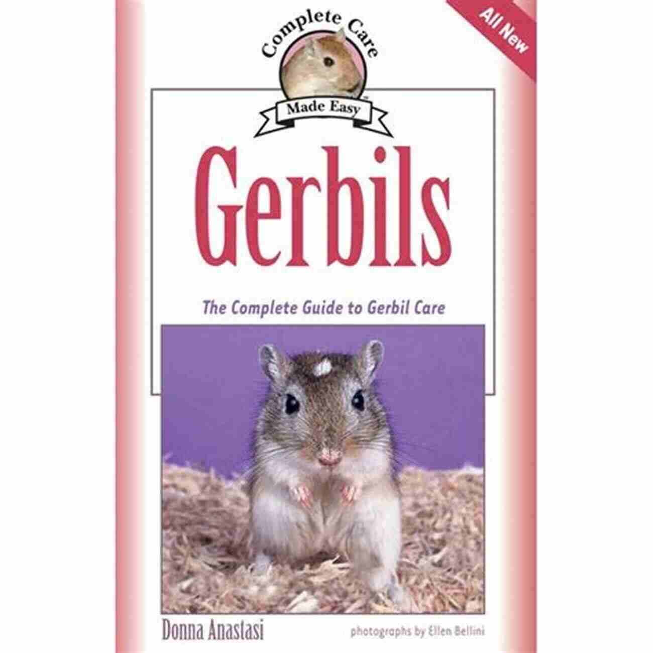 Gerbil Care A Complete Guide For Beginners Gerbil Care For Beginners Alina Daria