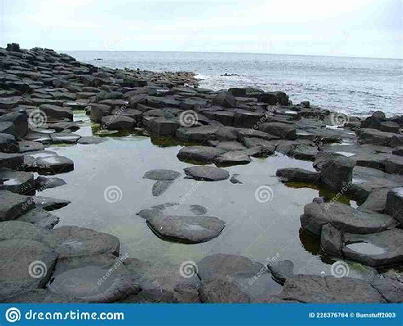 Giants Causeway Interlocking Basalt Columns The Great British Bucket List: Utterly Unmissable Britain