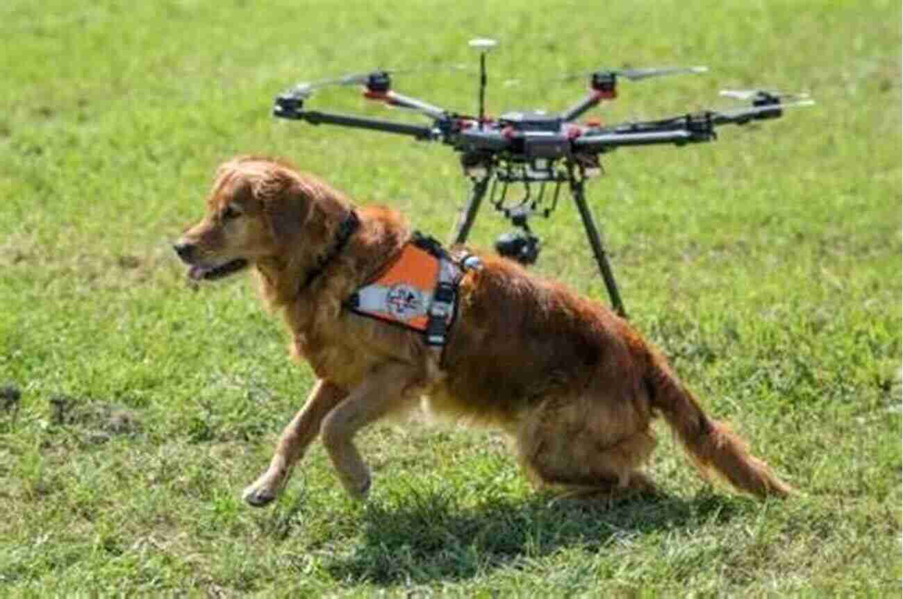 Golden Retriever Assisting In A Search And Rescue Operation Retrieving For All Occasions: Foundations For Excellence In Gun Dog Training