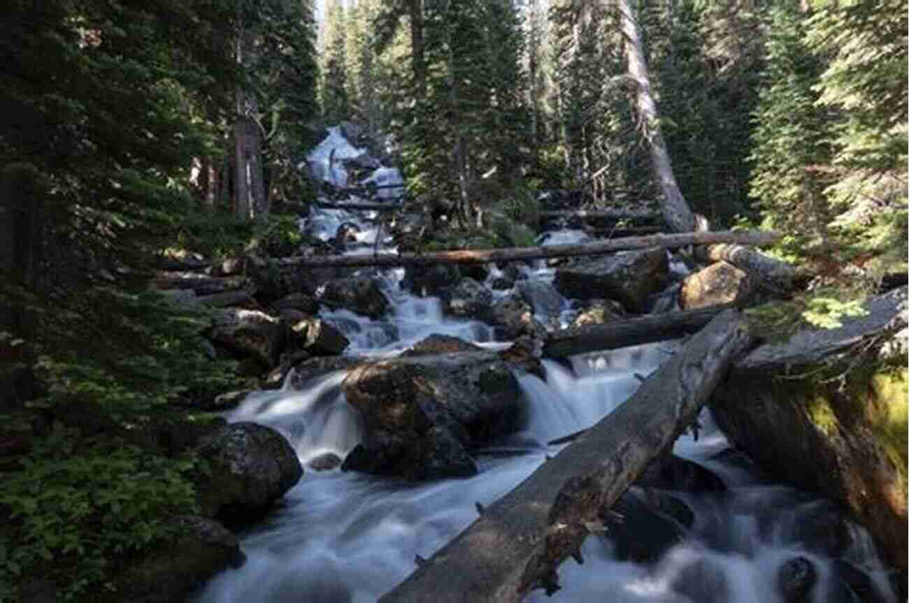 Hidden Gem: Calypso Cascades The Best Of Rocky Mountain National Park