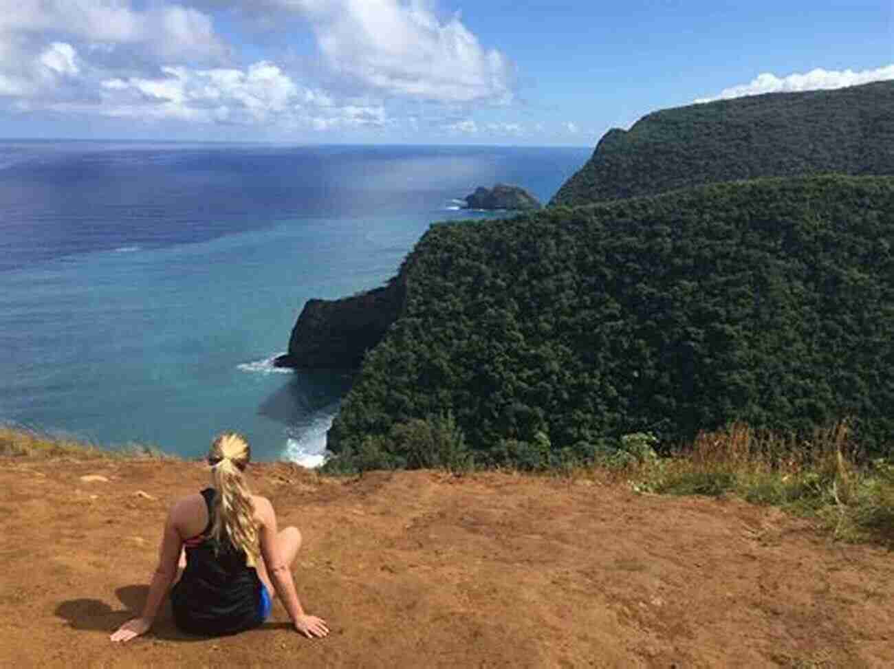 Hiking On The Big Island Hawaii The Big Island Trailblazer Where To Hike Snorkel Surf Bike Drive (Trailblazer Travel Books)