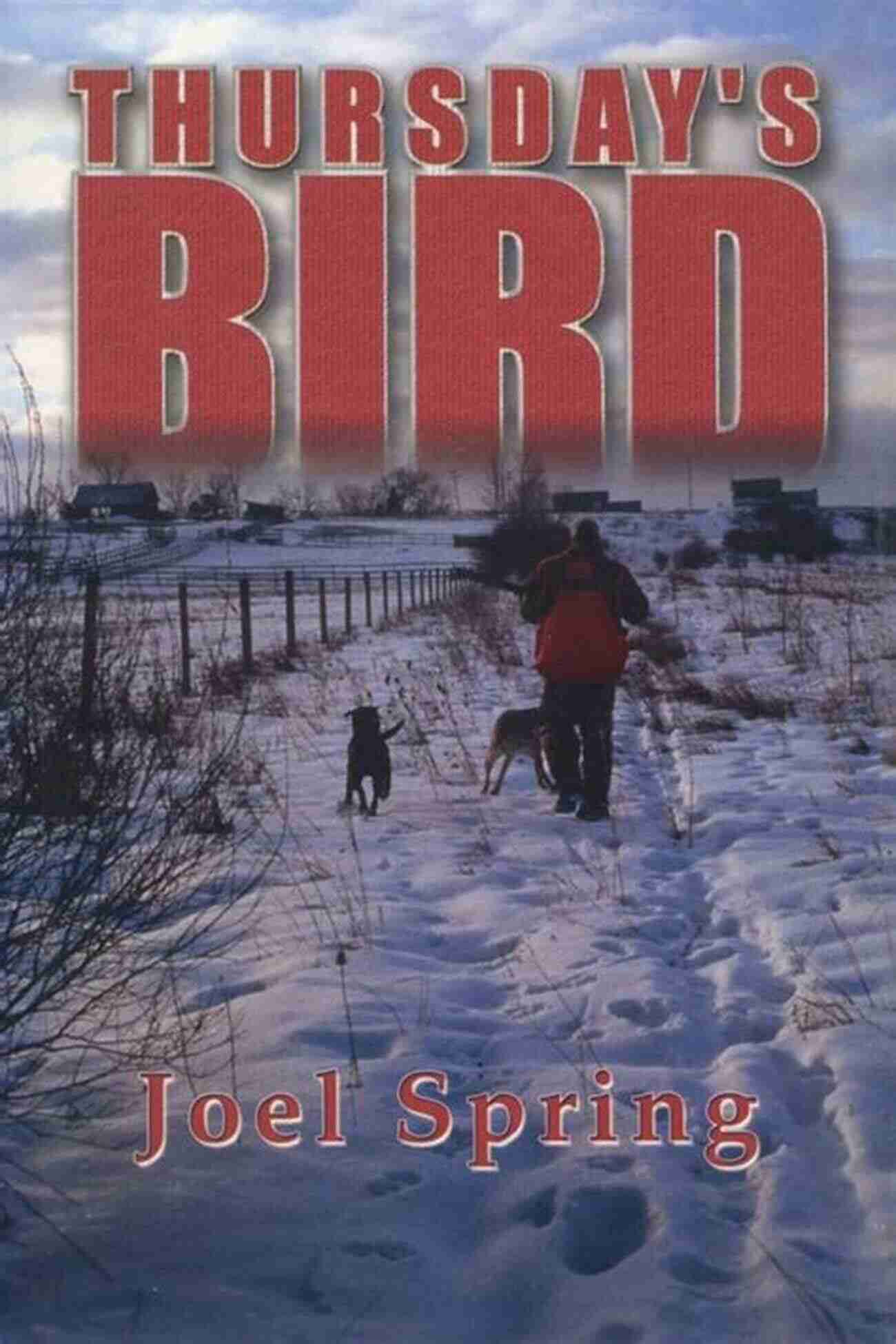 Hunting Wild Pheasant In Vanishing Upland Thursday S Bird: Hunting Wild Pheasants In A Vanishing Upland