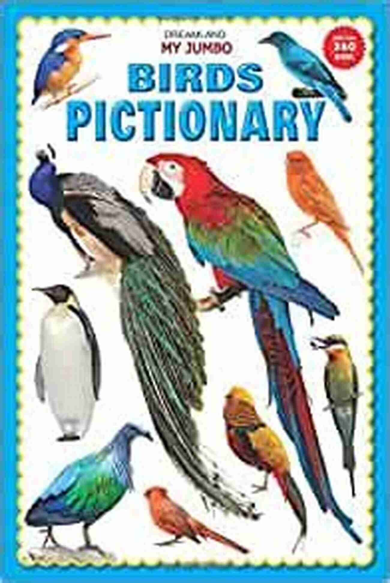 Illustration Of Various Birds In The January 2022 Pictionary Book. Birds Pictionary For Kids Adults January 2022 Book: PART 97