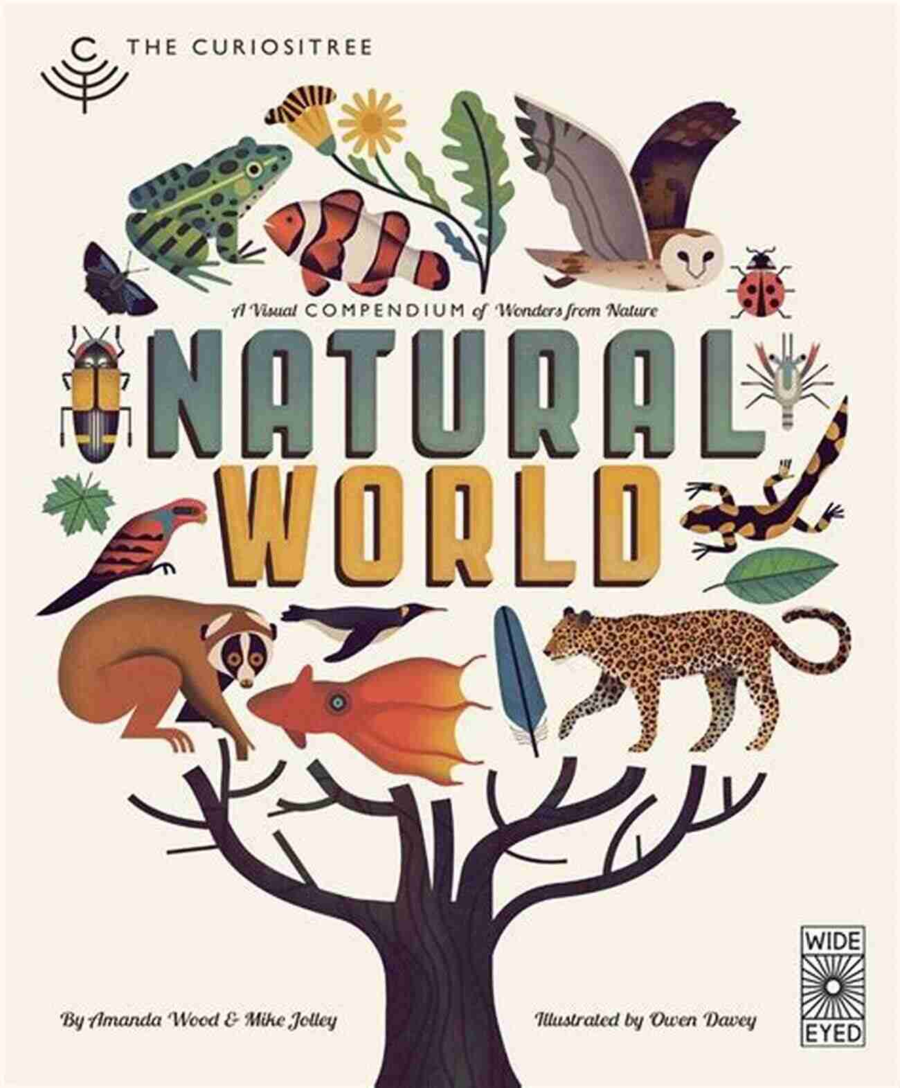 Image Of 'Discovering Our Natural World' Book Cover Third Grade Book: I Love Science: Science For Kids 3rd Grade (Children S Science Nature Books)