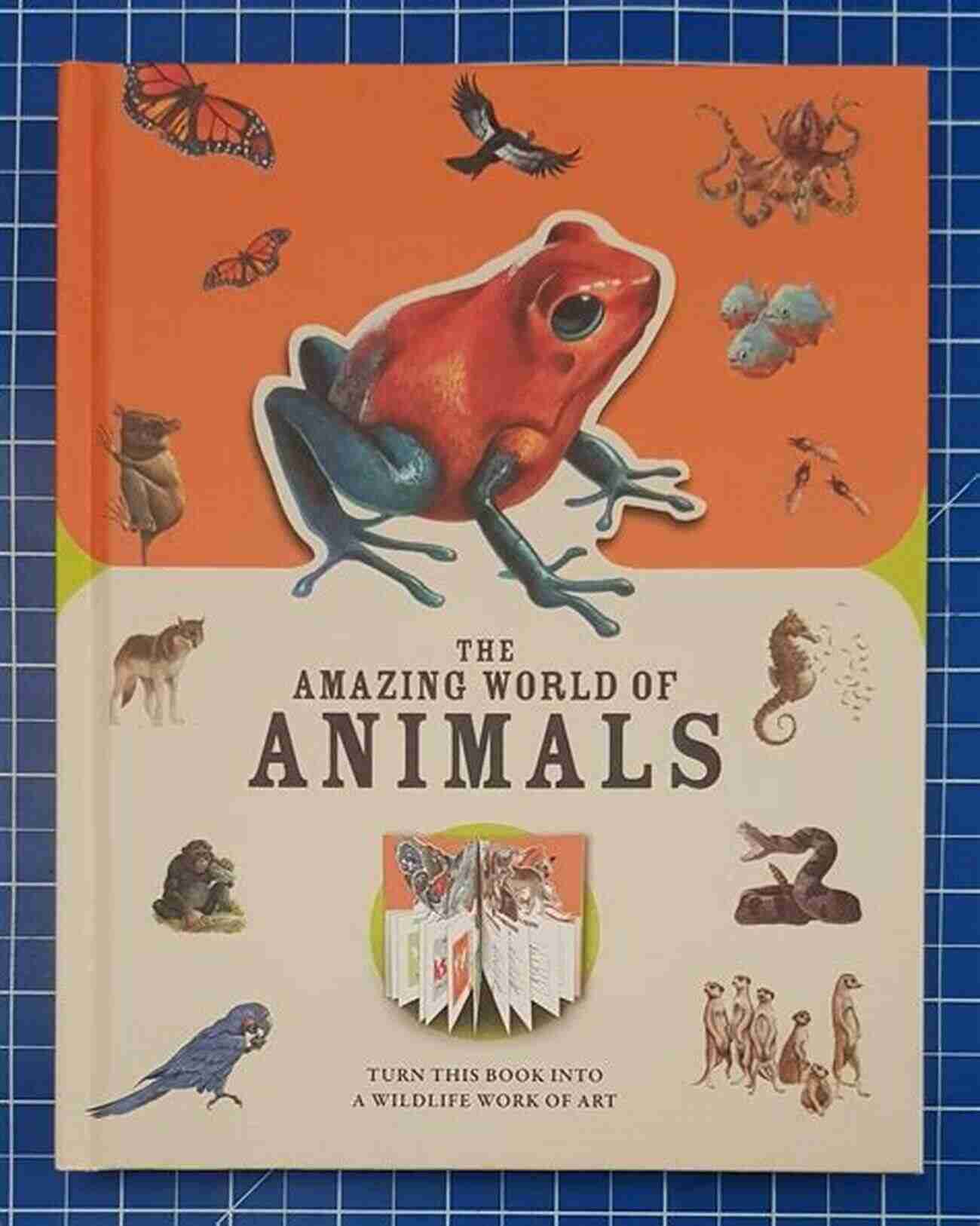 Image Of 'The Amazing World Of Animals' Book Cover Third Grade Book: I Love Science: Science For Kids 3rd Grade (Children S Science Nature Books)