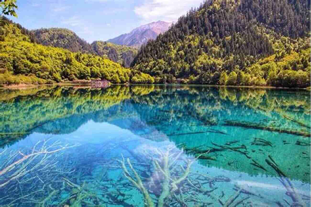 Jiuzhaigou Valley Picture Of Crystal Clear Turquoise Blue Lakes Surrounded By Colorful Forests Hiking In China Lonely Planet