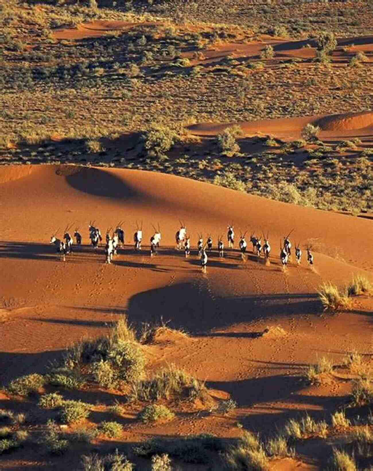 Journey Into The Heart Of Africa: Witness The Wildlife In Kenya, Explore The Deserts Of Namibia, And More A Traveler S Blog: A World To Travel