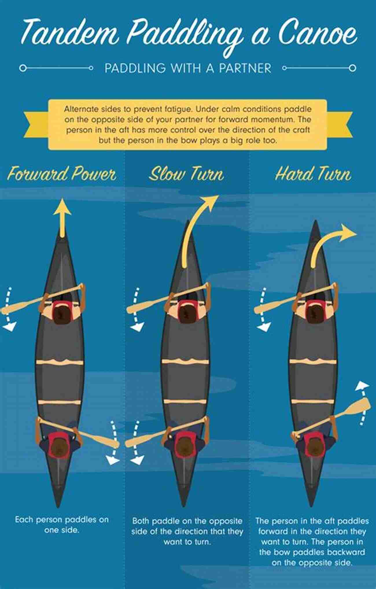 Learn Various Paddle Strokes And Techniques To Master Canoe Paddling Basic Illustrated Canoe Paddling (Basic Illustrated Series)