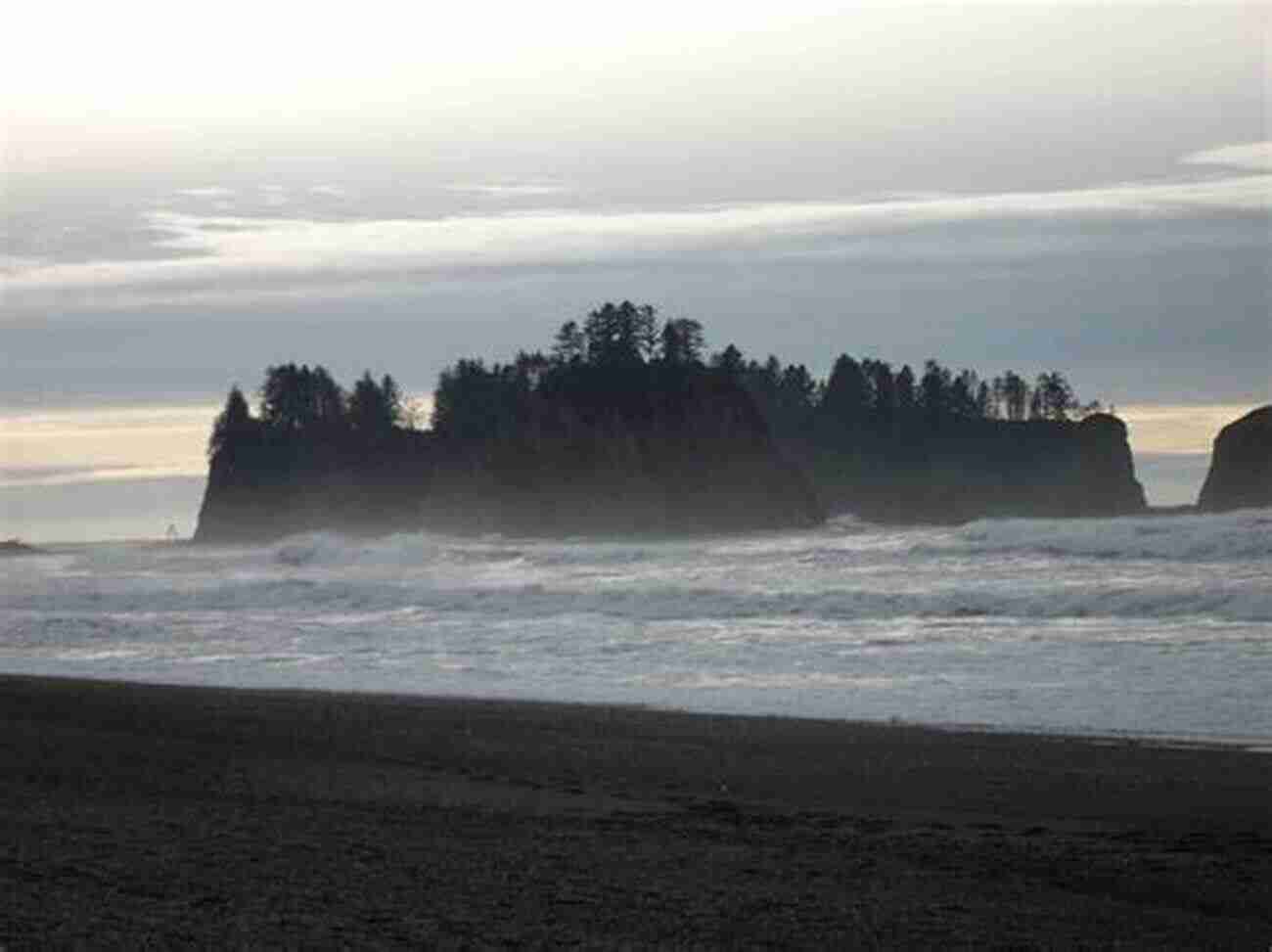 Long Beach: Recreating The Beautiful Coastlines Of La Push Tour The Twilight Saga Two Vancouver British Columbia