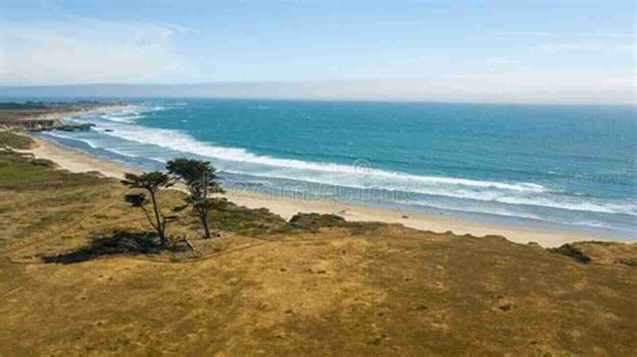 Magnificent Coastal Bluffs Overlooking The Ocean On A Sunny Day Urban Trails: San Francisco: Coastal Bluffs/ The Presidio/ Hilltop Parks Stairways