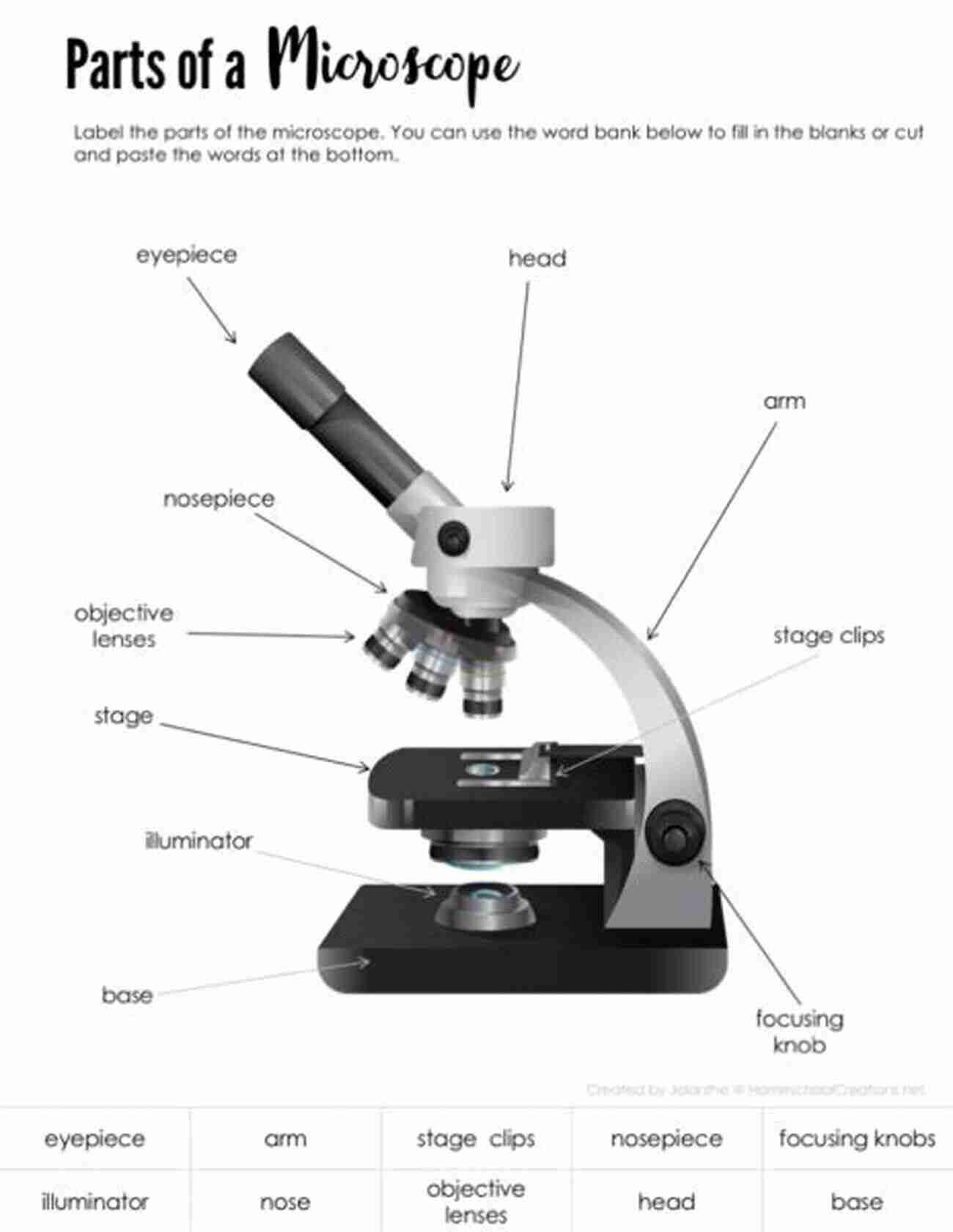 Parts Of Microscope Science And Technology Grade Children Science Education I Use Science Tools : Parts Of A Microscope Science And Technology Grade 5 Children S Science Education