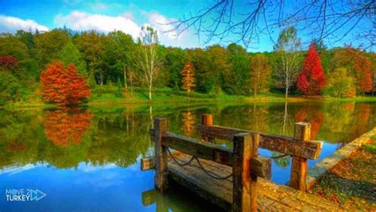 Picturesque View Of Belgrad Forest Istanbul Its Surroundings Kyung Suk Oh