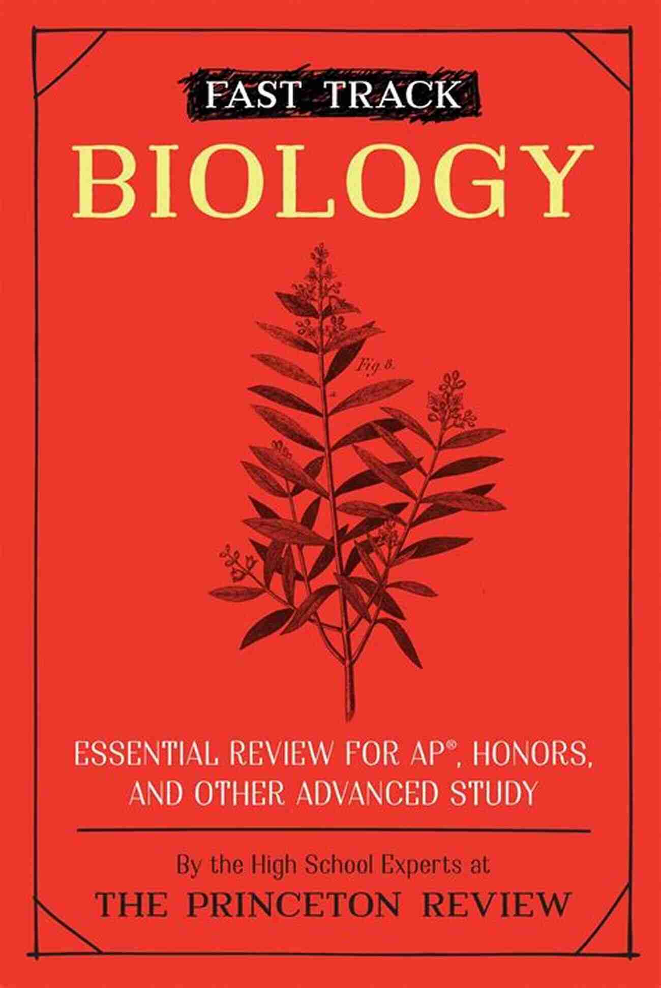 Reviewing Essential Concepts For AP Honors And Other Advanced Study High School Subjects Fast Track: Geometry: Essential Review For AP Honors And Other Advanced Study (High School Subject Review)