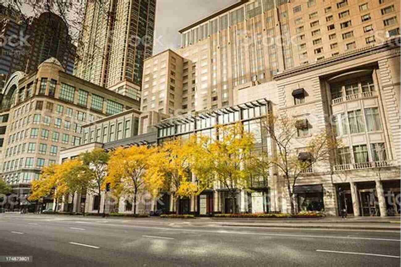 Shoppers On The Magnificent Mile Lonely Planet Chicago (Travel Guide)